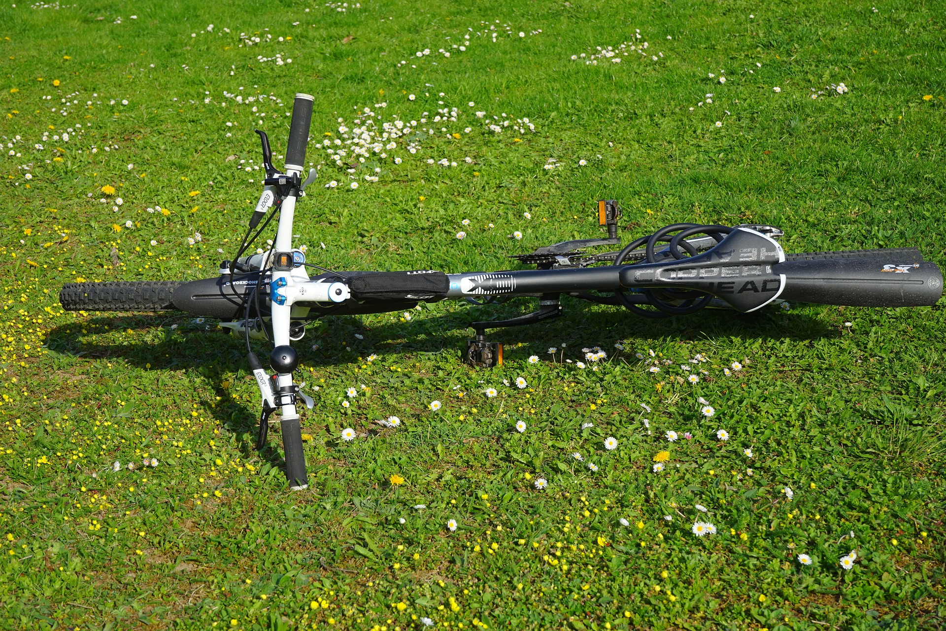 Alla scoperta dell’Isola Polvese in bici